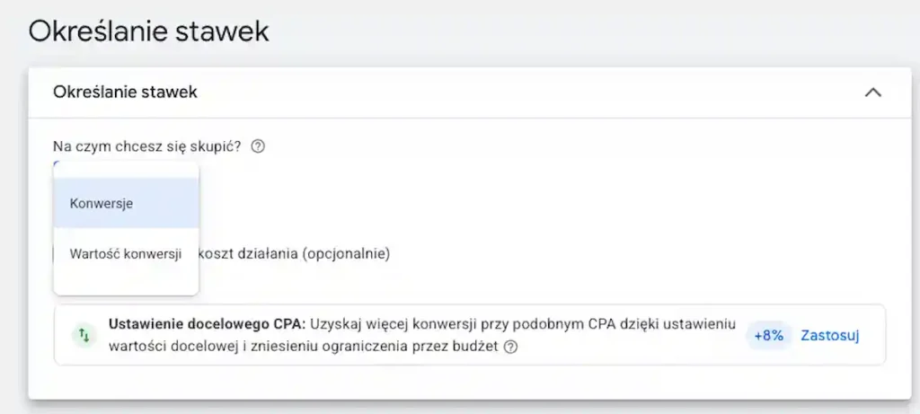 Strategia ustalania stawek w kampanii Pmax
